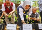 Pjs Bupati Trenggalek Dukung Emak-Emak Manfaatkan Pekarangan Tanam Sayur