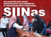 IKM Kabupaten Trenggalek, Mengikuti SIINas Yang Digelar Dinas Perindustrian Dan Transmigrasi