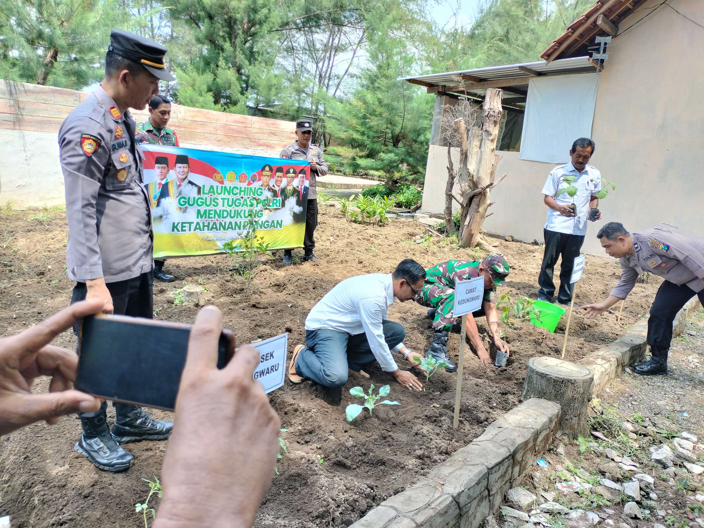 Dalam upaya mendukung ketahanan pangan nasional dan mewujudkan swasembada pangan, Kapolsek Kedungwaru, Danramil Kedungwaru, Camat Kedungwaru dan Kades Tapan mengikuti launching