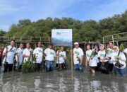 PTPN 1 Regional 4 gelar penanaman 1.120 pohon di Mangrove Wonorejo Surabaya.