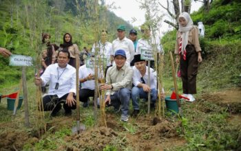 Bupati Trenggalek Dampingi Menteri LH Tanam Bibit Kopi Di Dilem Wilis