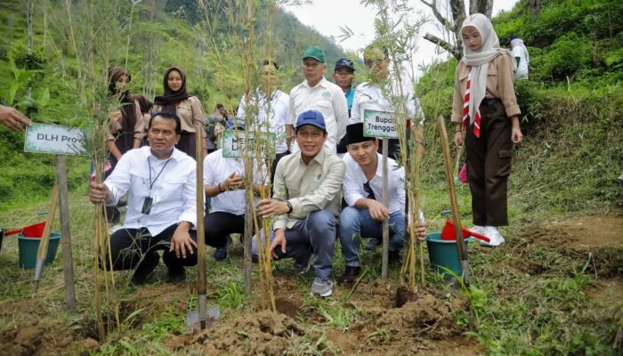 Bupati Trenggalek Dampingi Menteri LH Tanam Bibit Kopi Di Dilem Wilis