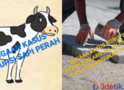 Tak Ada Titik Terang Tangani Kasus Korupsi Sapi Perah, Pemeliharaan Jalan Paving dan Pembangunan Paving