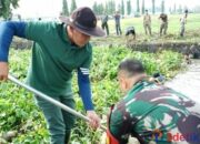 Plt Bupati Sidoarjo, H. Subandi terjun langsung bersih-bersih sungai.