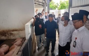 Komisi B DPRD Kota Surabaya sidak ke RPH Babi Banjar Sugihan. [3detik.com]