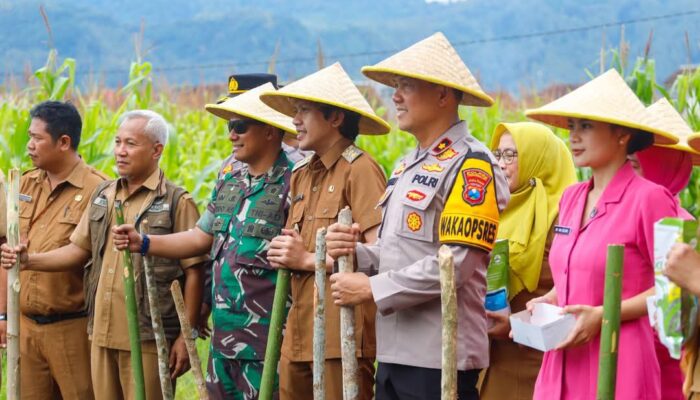 Pemkab Trenggalek Berkolaborasi Dengan Kodim 0806 Wujudkan Swasembada Pangan Nasional