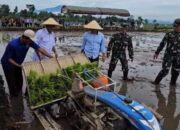 Dinas pertanian Tulungagung bersama Bupati dan wakil Bupati terpilih tanam demplot padi di Desa Ngantru.