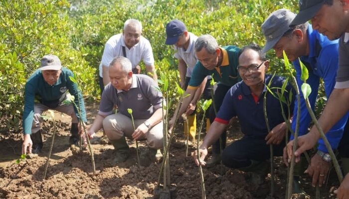 Pegawai Di Lingkup Setda, Tanam 750 Bibit Mangrove Dukung Net Zero Carbon