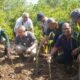 Pegawai Di Lingkup Setda, Tanam 750 Bibit Mangrove Dukung Net Zero Carbon