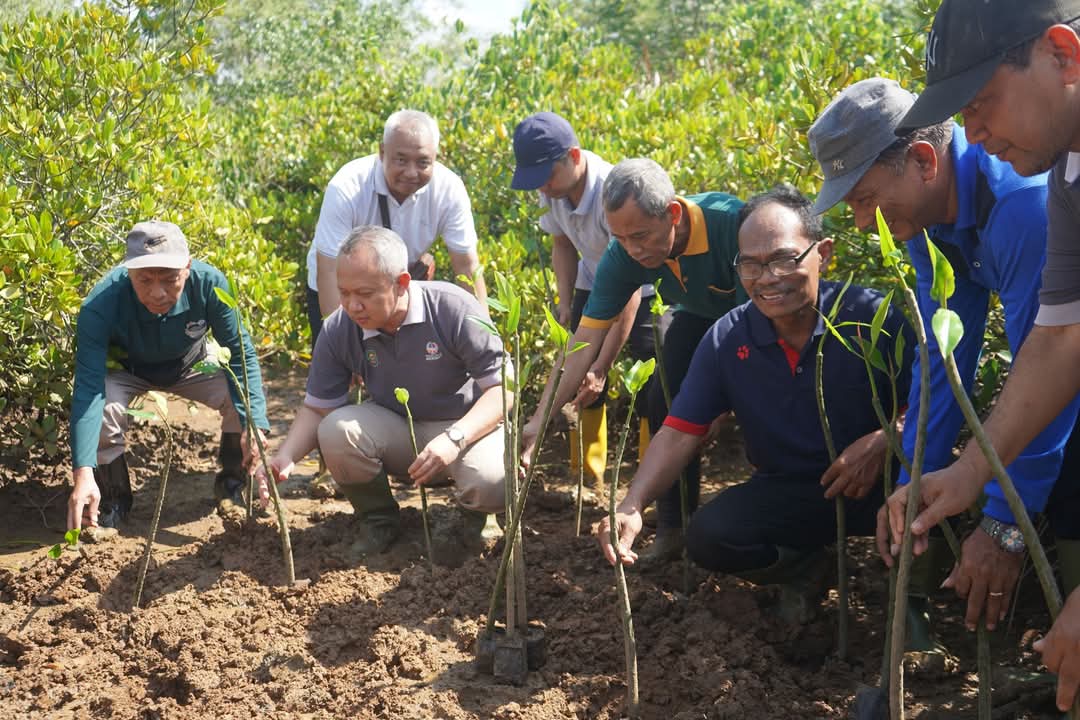 Pegawai di lingkup Sekretariat Daerah (Setda) Trenggalek tanam bibit pohon Mangrove di Pancer Cengkrong.