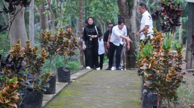 Bupati Trenggalek, Mochamad Nur Arifin antarkan sendiri tamunya melihat spot-spot unggulan di daerahnya.