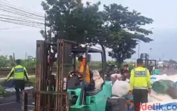 petugas Satlantas Polres Lamongan saat mengevakuasi truk trailer muatan gula pasir terguling di Jalan Lamongan Babat. [3detik.com]