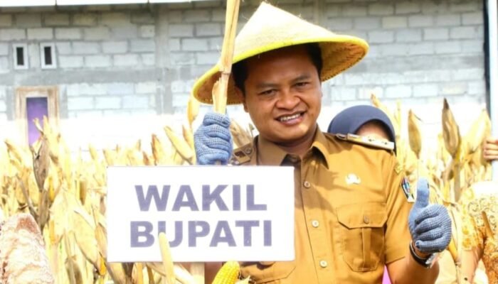 Wakil Bupati Blitar H. Beky Dampingi DPRD Propinsi Jatim, Mengikuti Gapoktan Tani Mulyo Panen Raya Jagung