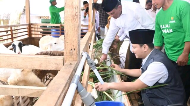 Bupati Trenggalek, Mochamad Nur Arifin, dukung penuh program BAZNAS pusat meluncurkan Balai Ternak di Desa Pringapus
