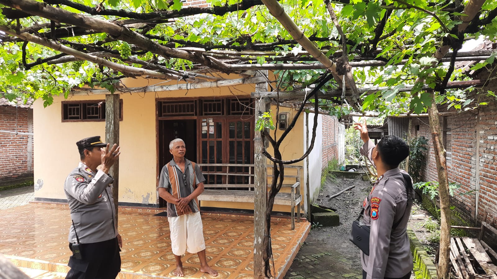 Polsek Patianrowo melaksanakan kegiatan pemantauan pemanfaatan lahan pekarangan bergizi berupa tanaman buah anggur di Dusun Kedungingas, Desa Rowomarto, Kecamatan Patianrowo