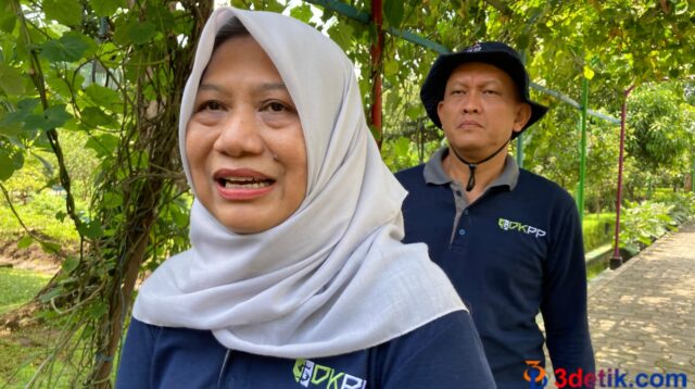 Antiek, Kepala DKPP Surabaya saat diwawancarai persiapan hewan kurban yang masuk ke Kota Pahlawan. [3detik.com]