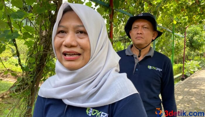 DKPP Surabaya: Hewan Kurban Wajib Vaksin dan Melengkapi SKKH