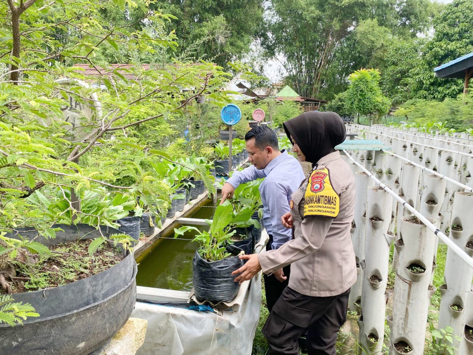 Polres Nganjuk melalui Polsek Warujayeng melaksanakan kegiatan pemantauan pemanfaatan lahan pekarangan warga dengan penanaman sayuran menggunakan media tanam polybag di Kelurahan Tanjunganom