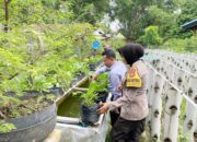 Polres Nganjuk melalui Polsek Warujayeng melaksanakan kegiatan pemantauan pemanfaatan lahan pekarangan warga dengan penanaman sayuran menggunakan media tanam polybag di Kelurahan Tanjunganom