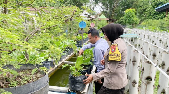 Polres Nganjuk melalui Polsek Warujayeng melaksanakan kegiatan pemantauan pemanfaatan lahan pekarangan warga dengan penanaman sayuran menggunakan media tanam polybag di Kelurahan Tanjunganom