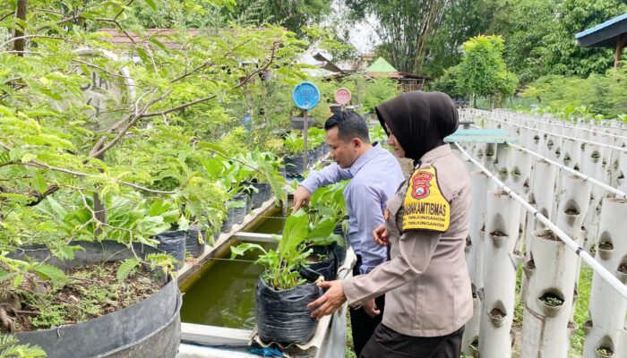 Polres Nganjuk melalui Polsek Warujayeng melaksanakan kegiatan pemantauan pemanfaatan lahan pekarangan warga dengan penanaman sayuran menggunakan media tanam polybag di Kelurahan Tanjunganom