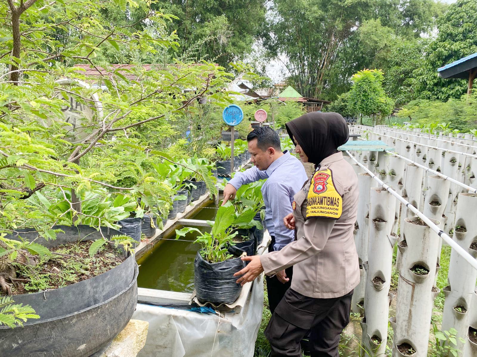 Polres Nganjuk melalui Polsek Warujayeng melaksanakan kegiatan pemantauan pemanfaatan lahan pekarangan warga dengan penanaman sayuran menggunakan media tanam polybag di Kelurahan Tanjunganom