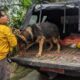 Empat Anjing Pelacak Dikerahkan, Guna Pencarian Korban Tertimbun Longsor di Bendungan Trenggalek