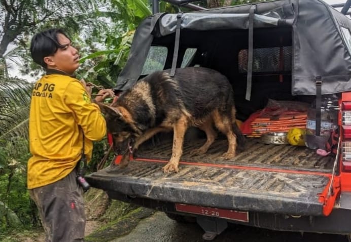 tim pencari dibantu dengan empat anjing pelacak. Anjing-anjing itu dua dari SAR dog (relawan) dan dua K9 dari Polda Jawa Timur