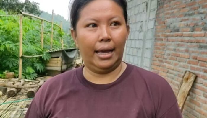 Warga Bendungan Trenggalek Cuma Mendengar Suara Pohon Patah, Bukan Gemuruh Tanah Longsor