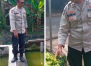 Polsek Pace Polres Nganjuk melakukan pemantauan terhadap budidaya ikan lele dan tanaman cabai milik warga di Desa Gondang