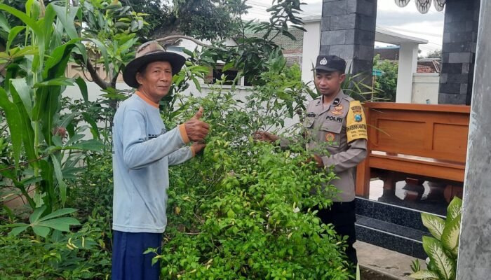 Pekarangan Produktif, Polsek Sawahan Kawal Ketahanan Pangan di Desa Duren