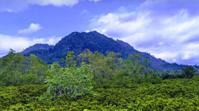 Banyak orang yang datang ke Bukit Cengkrong justru merasa lebih tenang