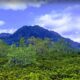 Bukit Cengkrong: Konon ada Kisah Mistis Sosok Penjaga Gaib