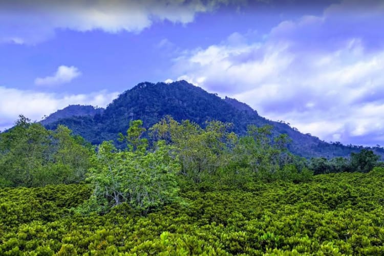 Banyak orang yang datang ke Bukit Cengkrong justru merasa lebih tenang