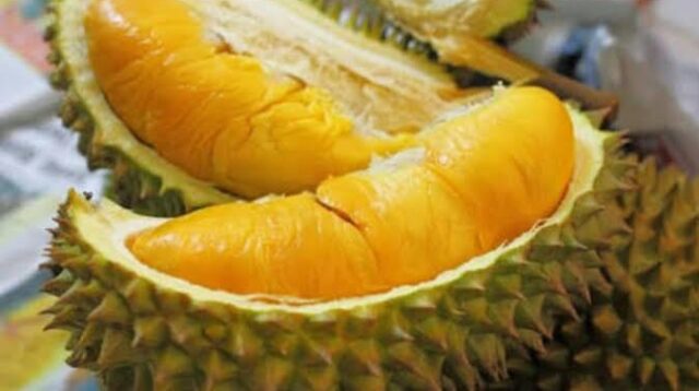 Durian ini nggak kalah istimewa. Varietas ini punya kulit kuning kecokelatan dengan duri yang tidak terlalu rapat