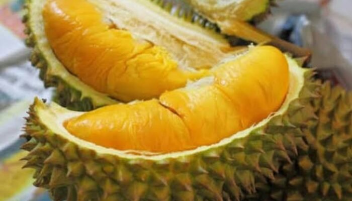 Menjelajahi Varietas Durian Unggulan dari Watulimo, Trenggalek