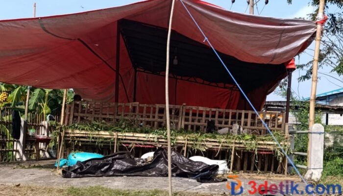 Aktivitas Jual Hewan Kurban Diatas Jembatan Terdapat Aliran Sungai, Patut Diduga Camat Pakal Pembiaran dan Lengah Pengawasan