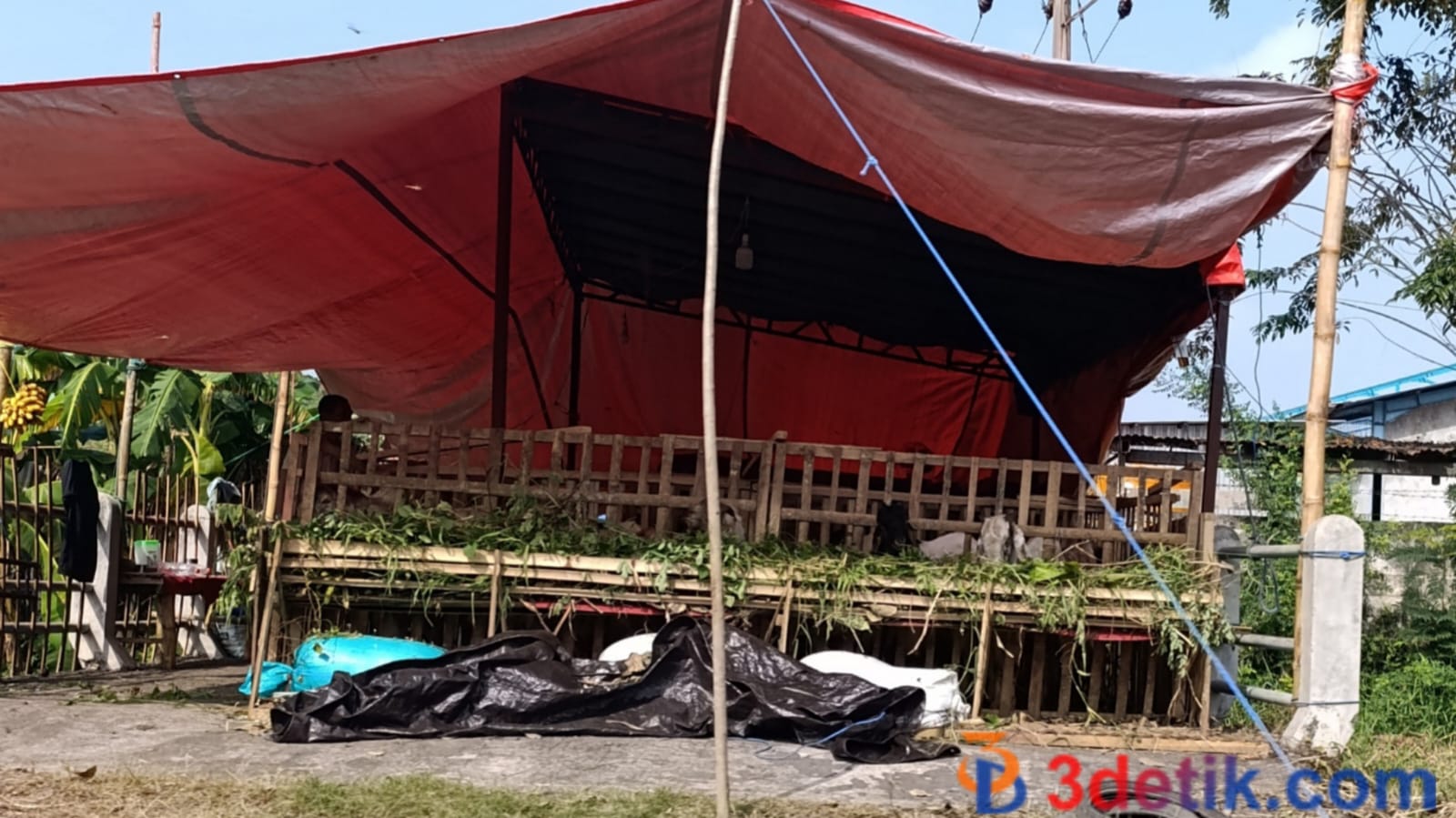 Aktivitas penjualan hewan kurban di atas jembatan yang di bawah terdapat aliran sungai berada di wilayah Kecamatan Pakal, Kota Surabaya. [3detik.com]
