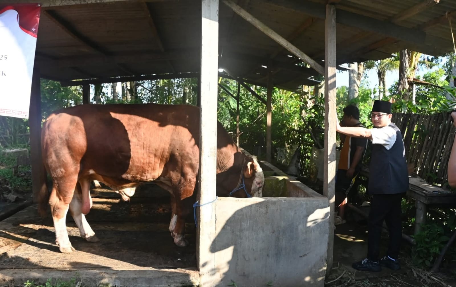 Bupati Trenggalek, Mochamad Nur Arifin saat meninjau langsung hewan kurban Presiden ke-8 RI, Prabowo Subianto