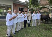 Pemkab Tulungagung menyalurkan 13 ekor sapi kurban dan 4 ekor kambing ke berbagai masjid