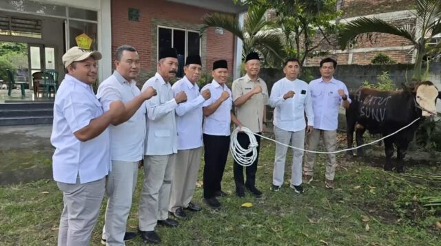 Pemkab Tulungagung menyalurkan 13 ekor sapi kurban dan 4 ekor kambing ke berbagai masjid