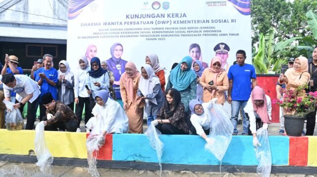 Novita Hardini, SE., ME., anggota DPR RI dari Dapil VII Jatim mengajak Fatma Saifullah Yusuf tebar benih Ikan Nila di salah satu sungai di Kelurahan Surodakan