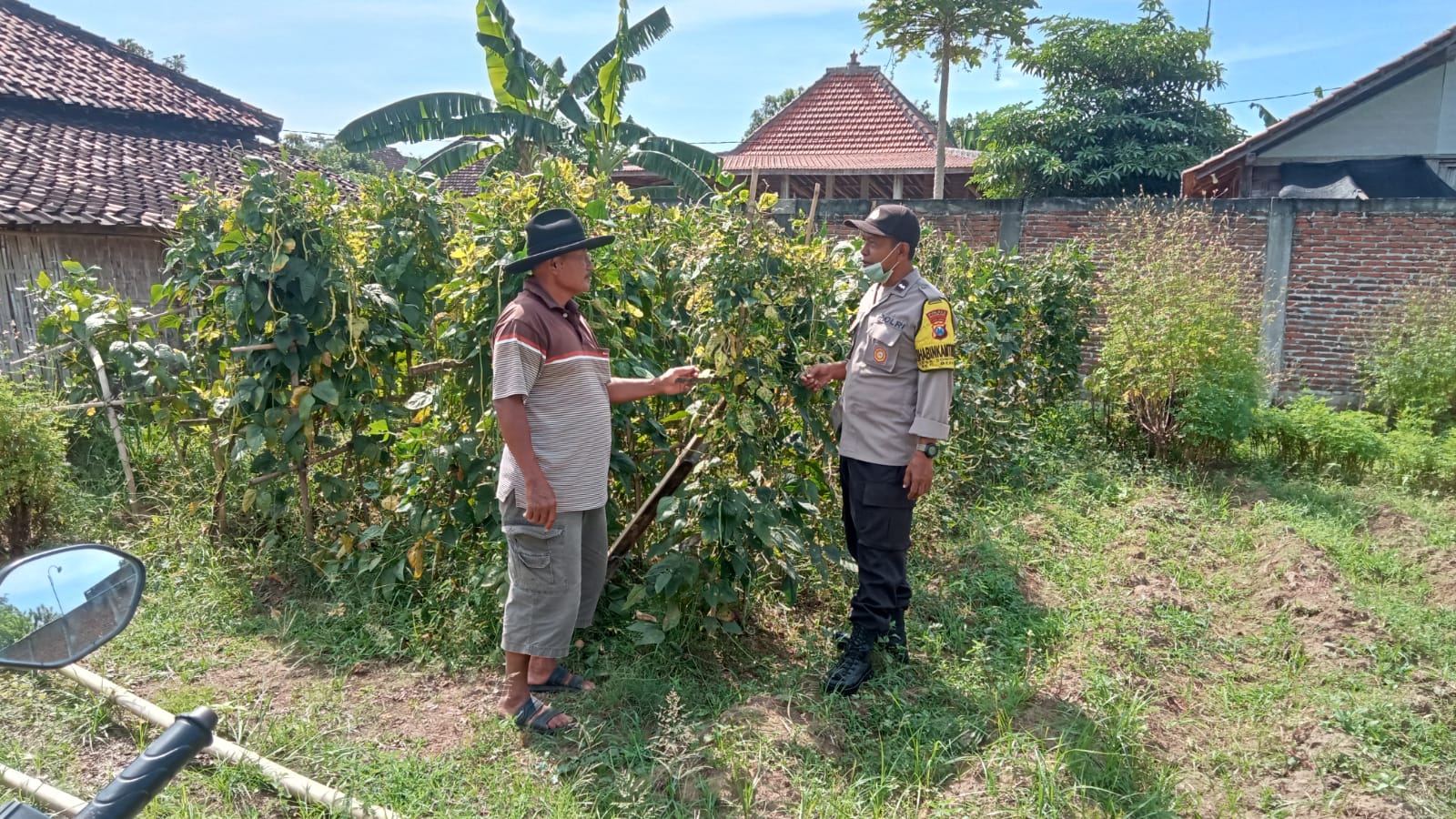 Warsito, warga Desa Sonopatik, Kecamatan Berbek, yang memanfaatkan pekarangan rumahnya untuk menanam kacang panjang dan terong