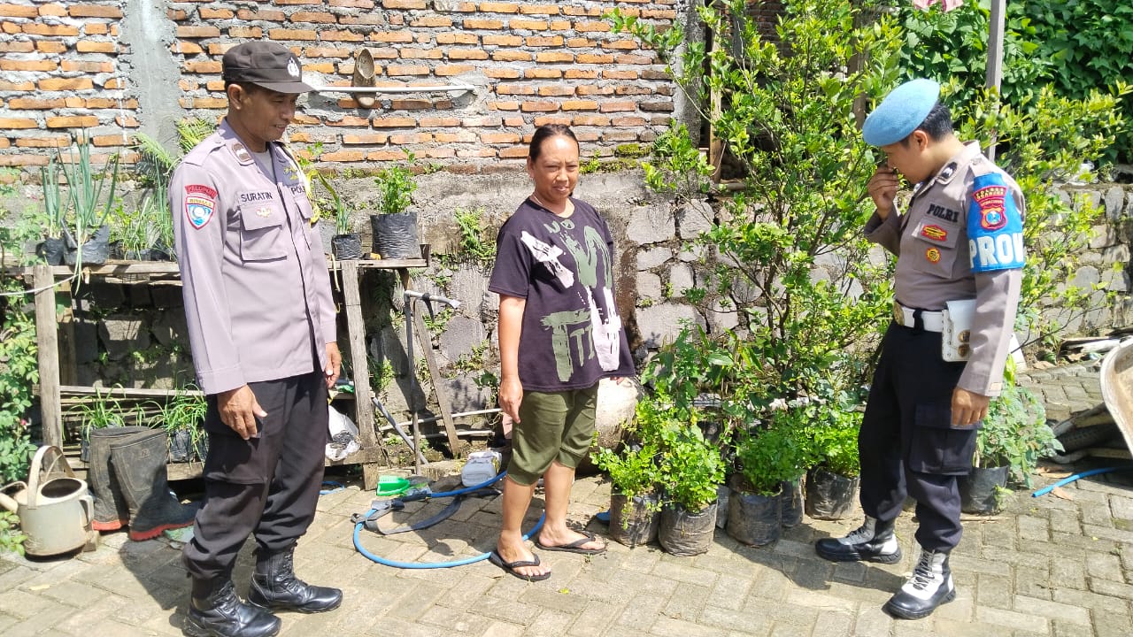 Bhabinkamtibmas Desa Duren pemantauan tanaman seledri yang di lahan pekarangan milik warga di Dusun Telik, Desa Duren, Kecamatan Sawahan, Kabupaten Nganjuk