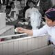 Bupati Trenggalek bersama jajaran Forkopimda melakukan ziarah leluhur menjelang peringatan Hari Jadi 831 Trenggalek