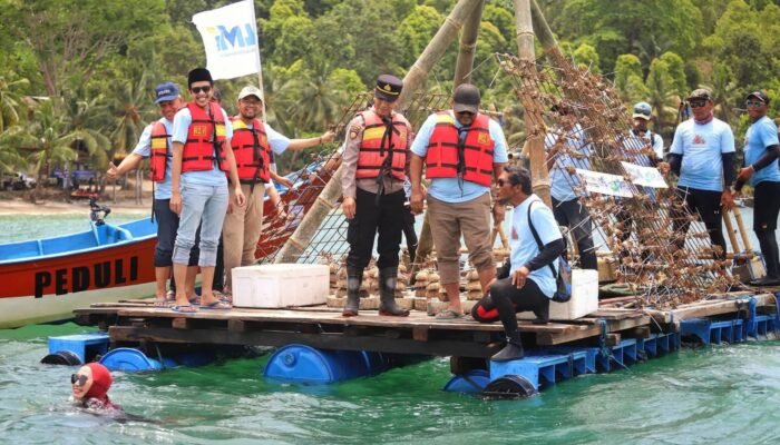 Pelindo Bersama Pemkab Trenggalek Tanam Ribuan Terumbu Karang di Pantai Mutiara