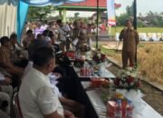 Plt. Bupati Tulungagung, Ahmad Baharudin, mehadidiri panen raya di Desa Podorejo, Kecamatan Sumbergempol