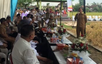 Plt. Bupati Tulungagung, Ahmad Baharudin, mehadidiri panen raya di Desa Podorejo, Kecamatan Sumbergempol