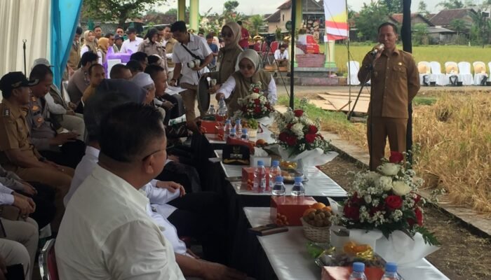 Produksi Naik, Surplus Tembus 94 Ribu Ton, Tulungagung Kian Tangguh di Sektor Pangan