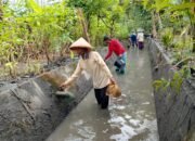 Pemerintah Desa Macanbang, terus mengoptimalkan program Padat Karya Tunai Desa (PKTD)